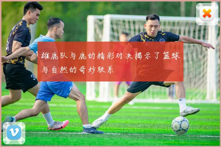 雄鹿队与鹿的精彩对决揭示了篮球与自然的奇妙联系