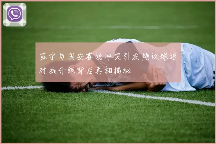 苏宁与国安赛场冲突引发热议球迷对抗升级背后真相揭秘