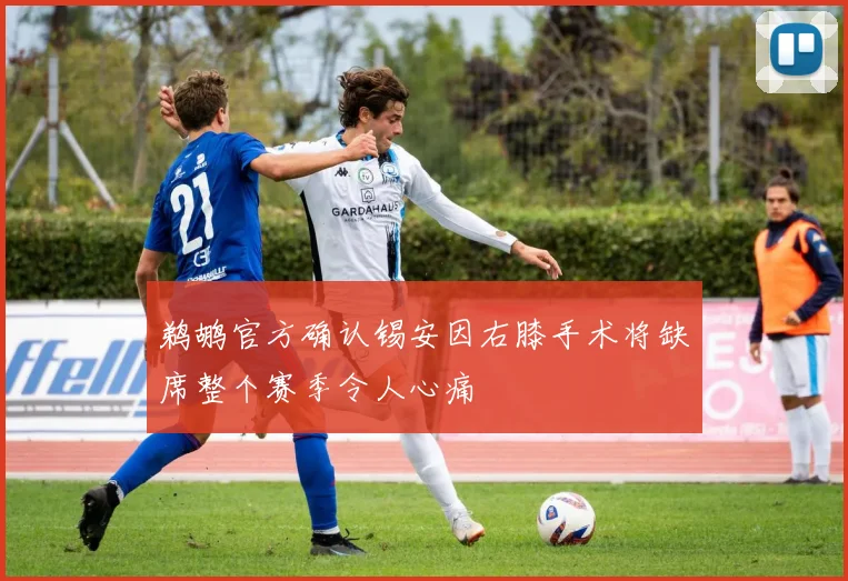 鹈鹕官方确认锡安因右膝手术将缺席整个赛季令人心痛