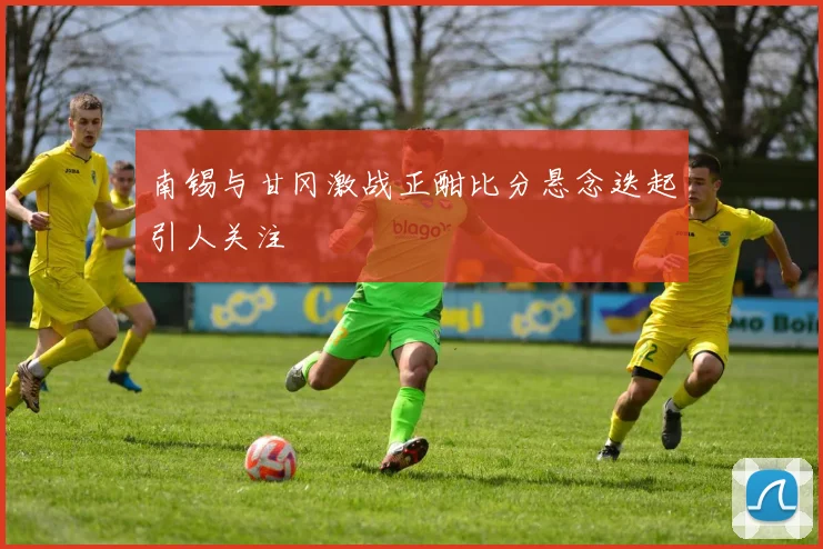 南锡与甘冈激战正酣比分悬念迭起引人关注