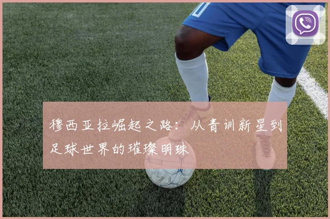 穆西亚拉崛起之路：从青训新星到足球世界的璀璨明珠