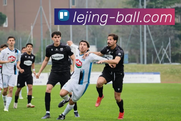 乐竞体育APP 体育赛事宣传图